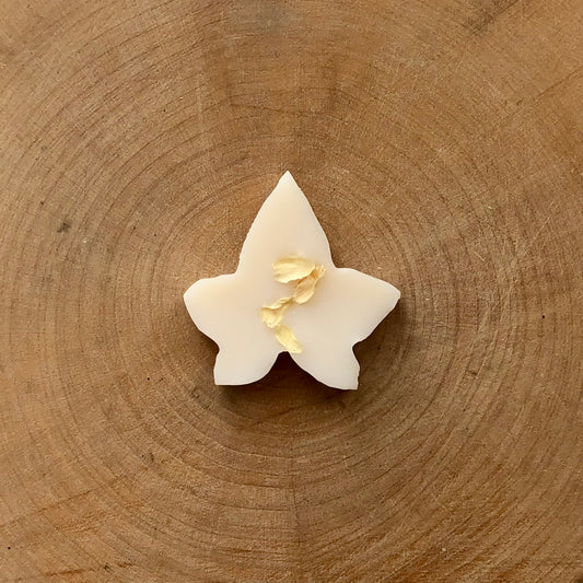 Sundara Beach Ivy Melts