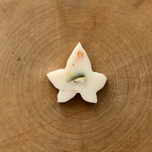 Mango & Lime Ivy Melts