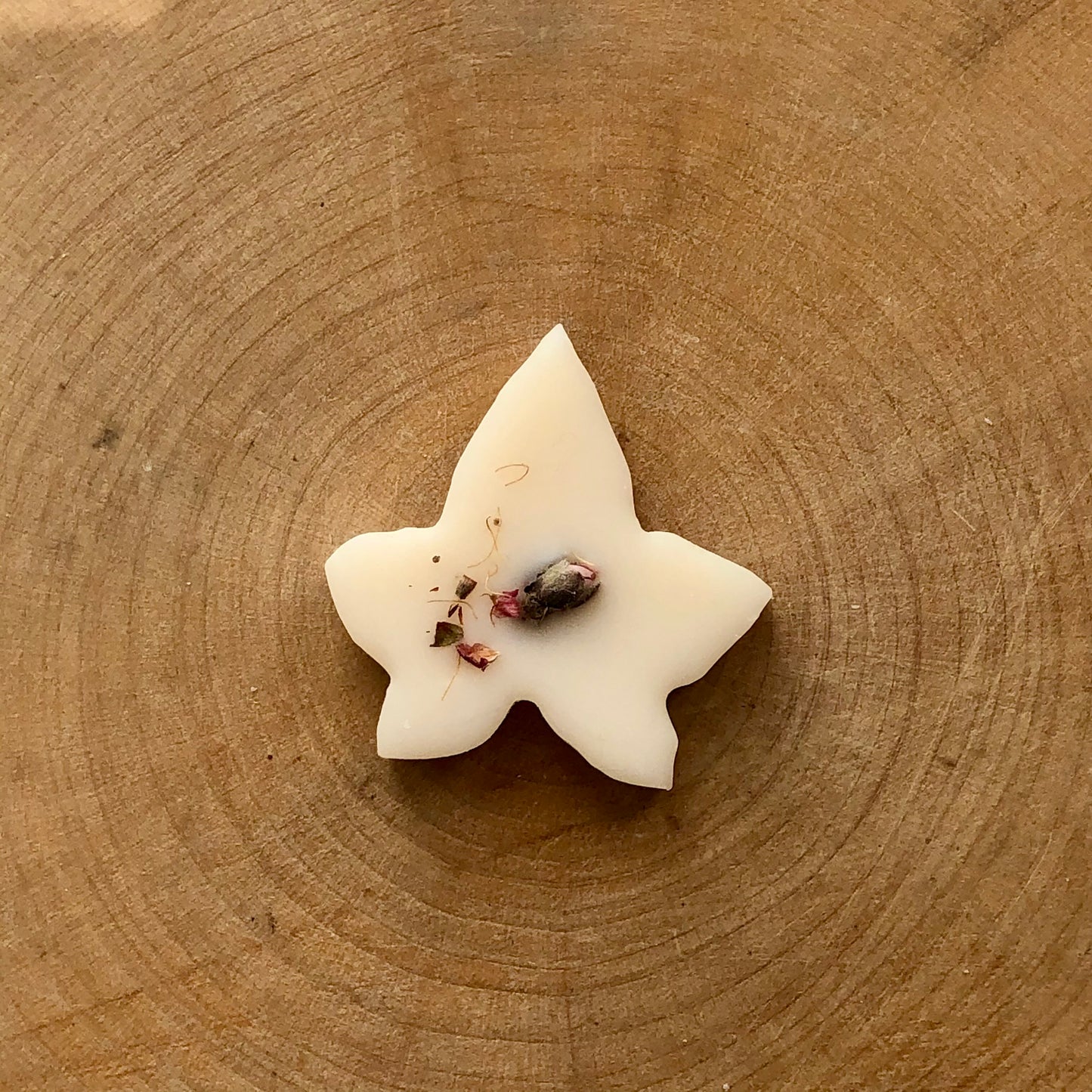 Cashmere Vanilla Ivy Melts