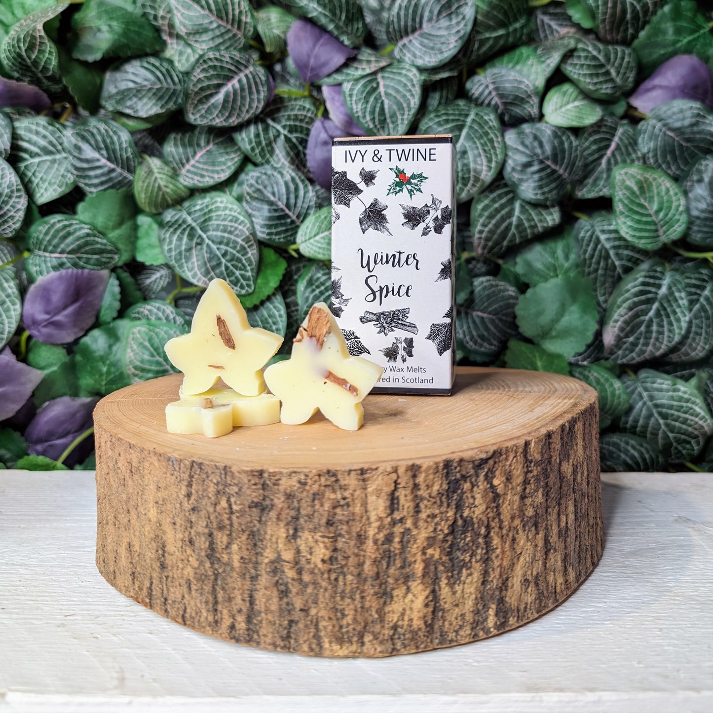 Winter Spice Ivy Melts