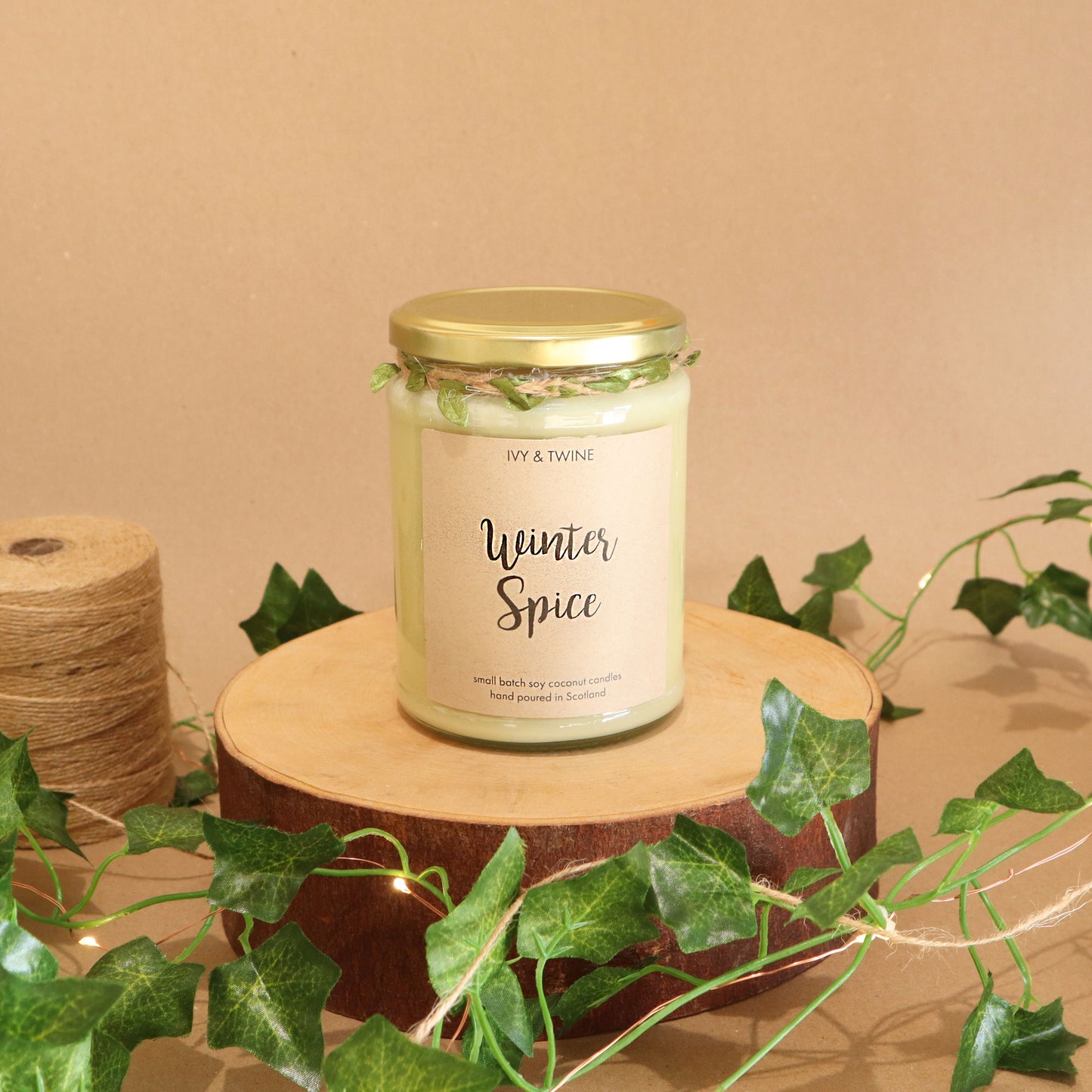 Winter Spice Candle (420g)