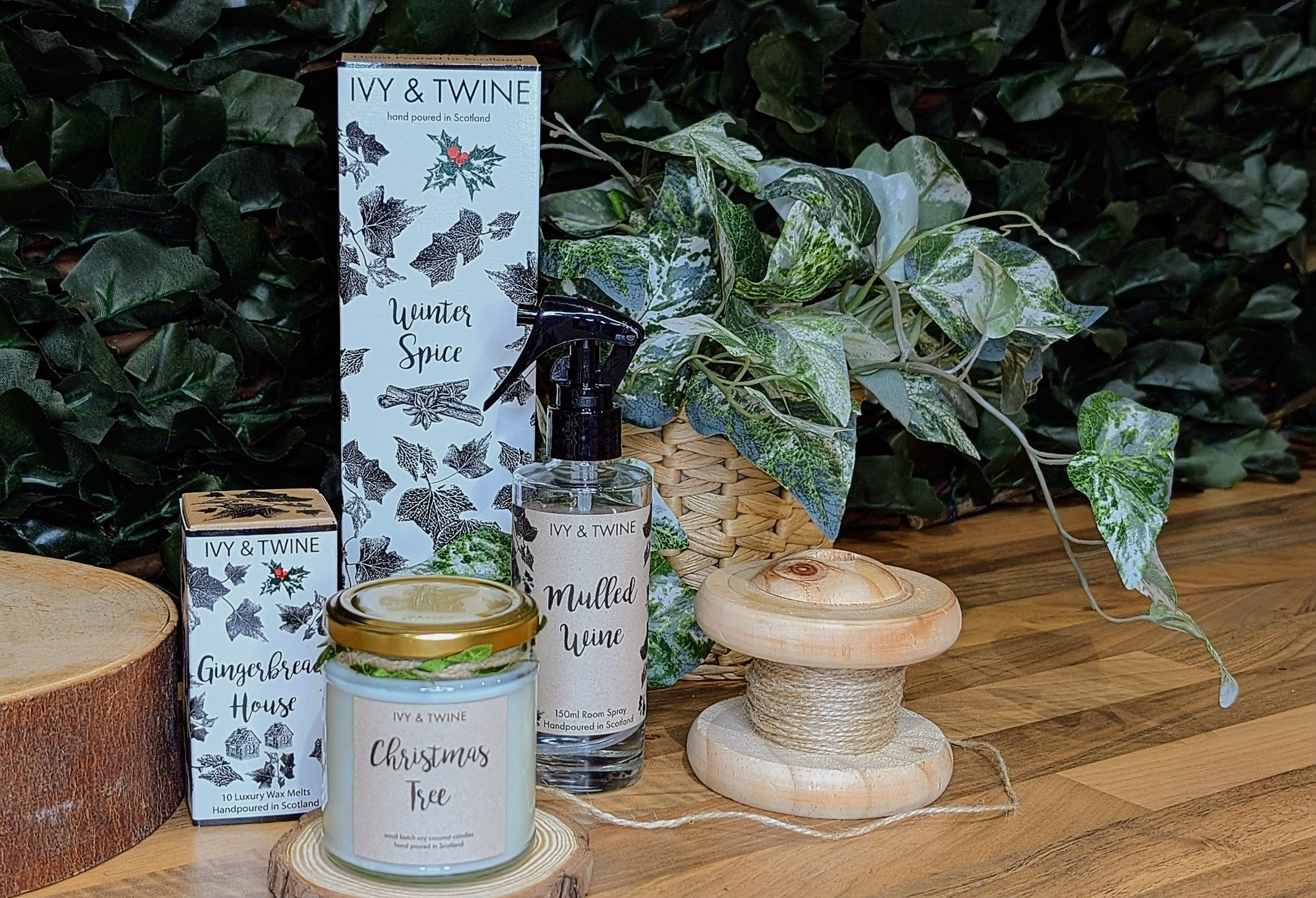 The Winter Collection