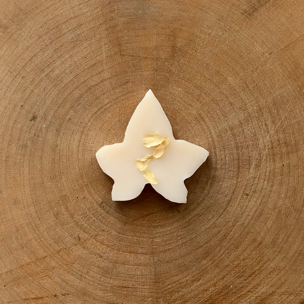 Sundara Beach Ivy Melts