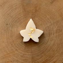 Load image into Gallery viewer, Sundara Beach Ivy Melts