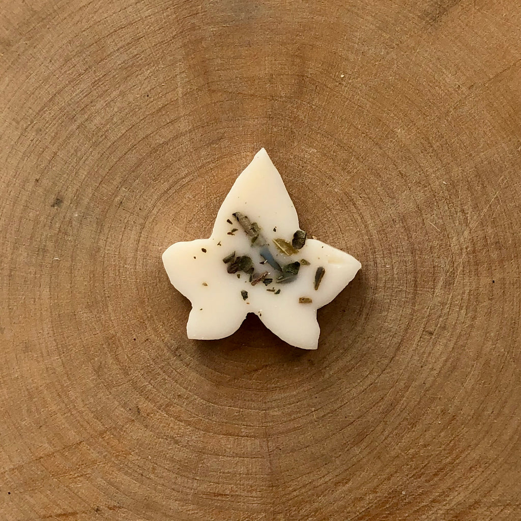 Tuscan Herbs Ivy Melts