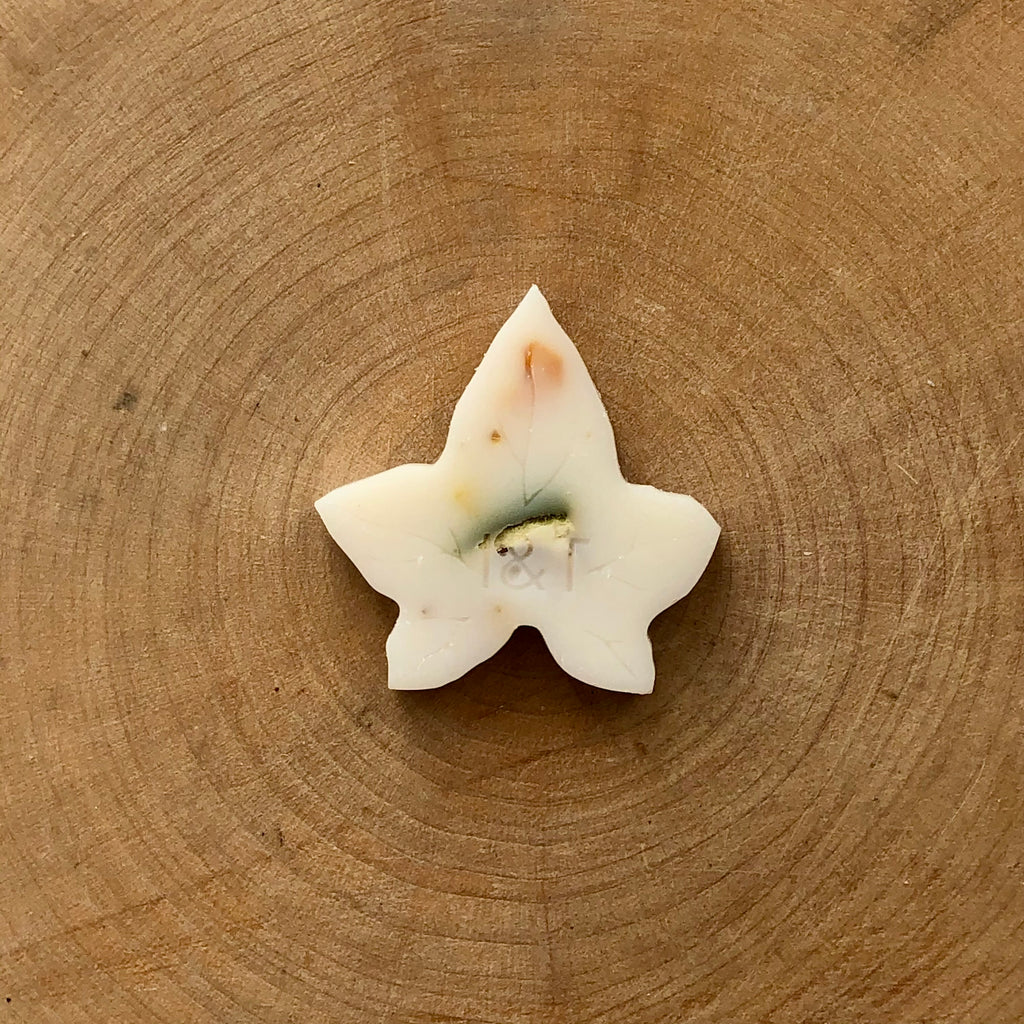 Mango & Lime Ivy Melts