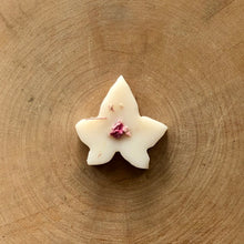 Load image into Gallery viewer, Rhubarb &amp; Plum Noir Ivy Melts