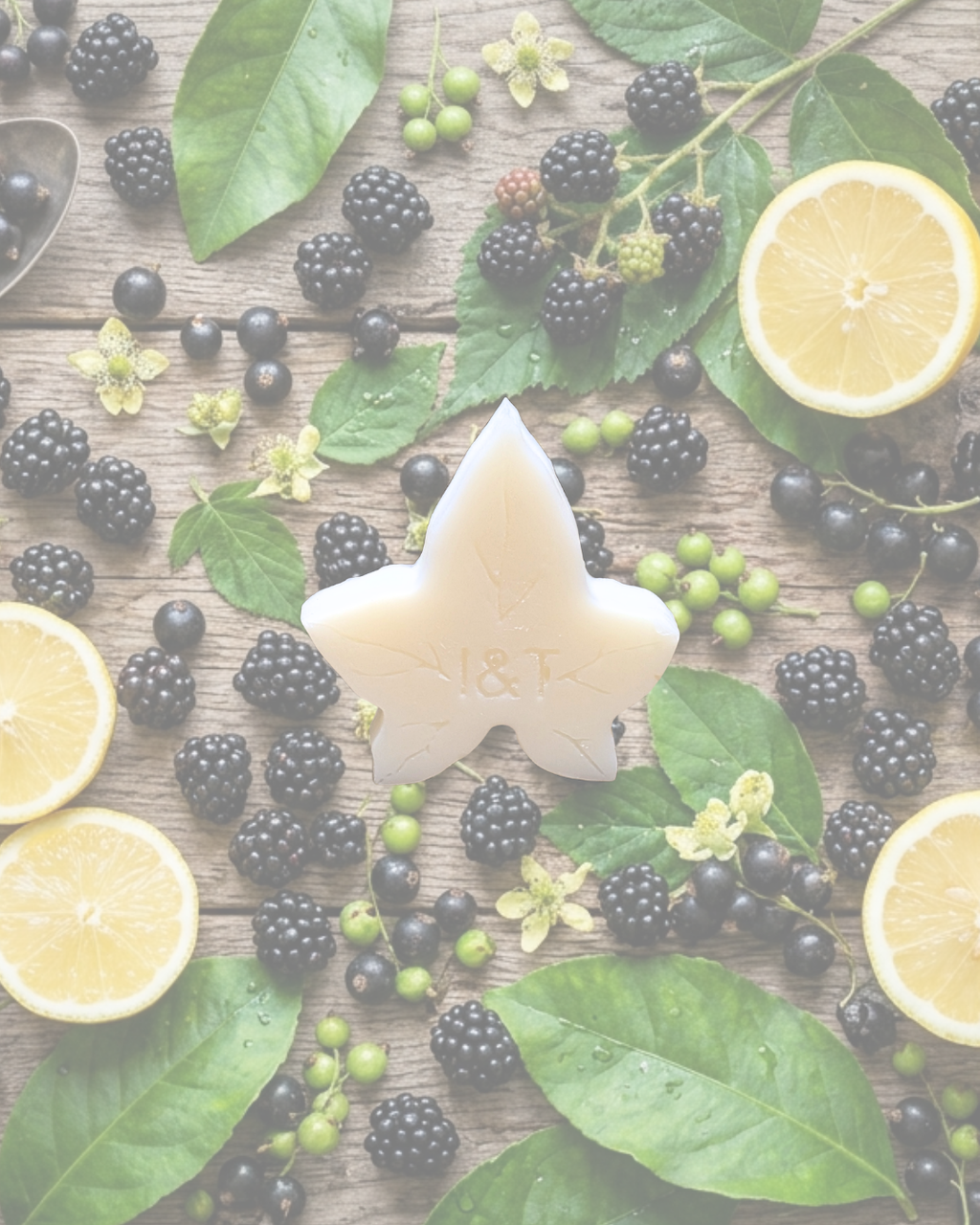Blackberry & Bay Ivy Melts - LIMITED EDITION