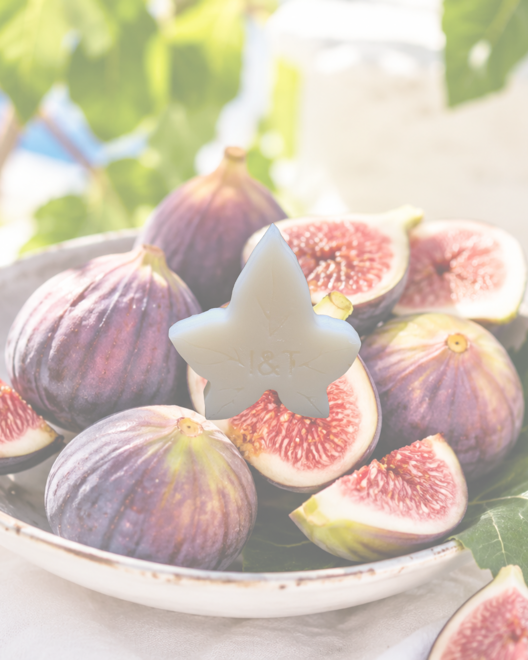 Fig Leaf Ivy Melts - LIMITED EDITION