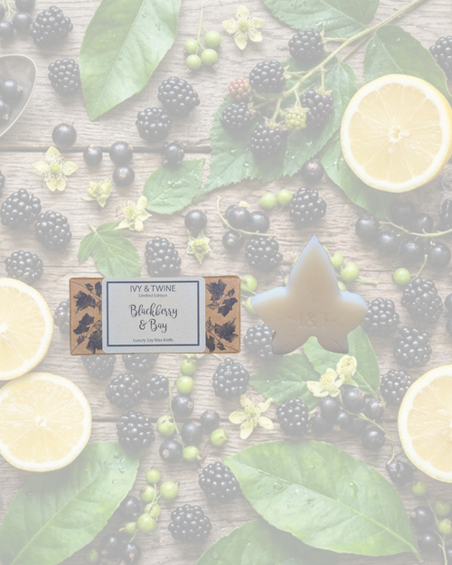 Blackberry & Bay Ivy Melts - LIMITED EDITION