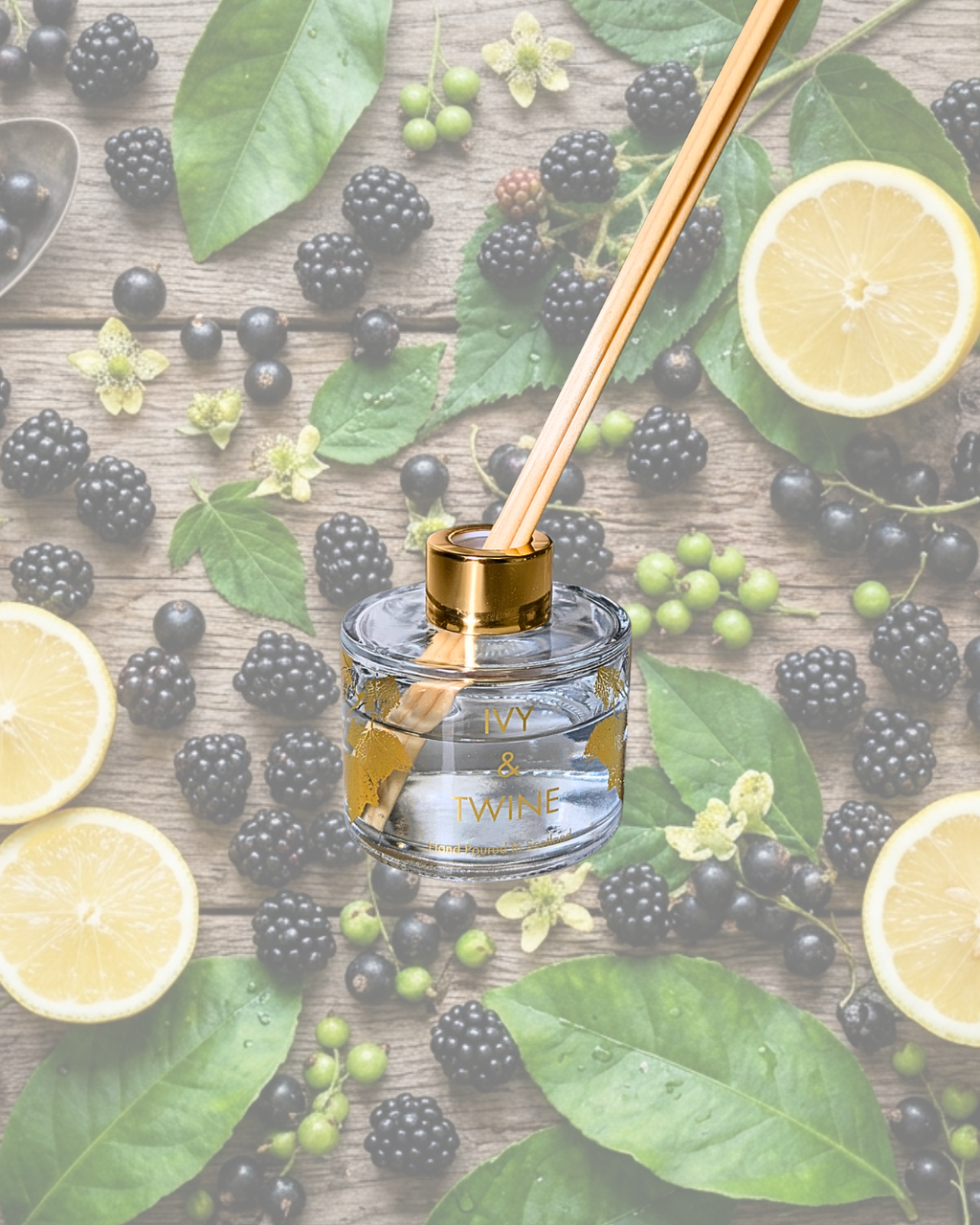 Blackberry & Bay 100ml Diffuser - LIMITED EDITION