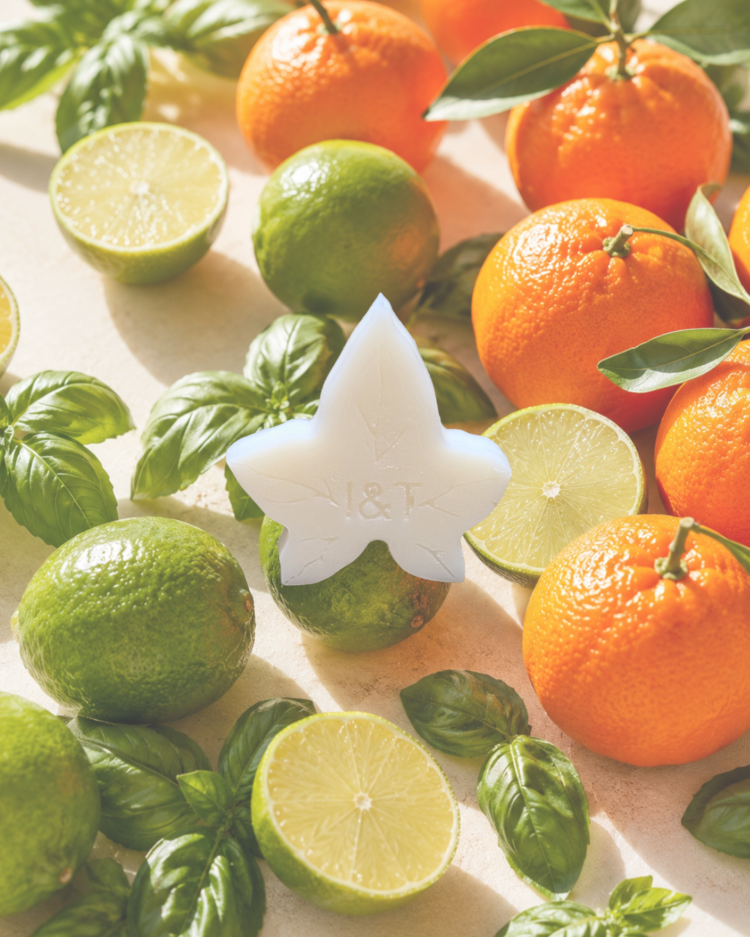 Lime, Basil & Mandarin Wax Melts - LIMITED EDITION